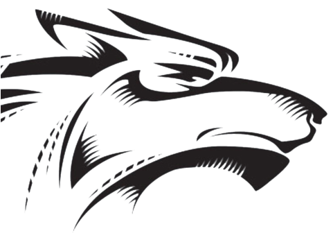 Stylized Eagle Graphic PNG image