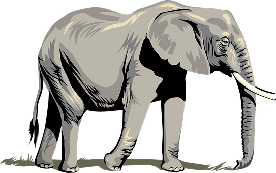 Stylized Elephant Illustration PNG image