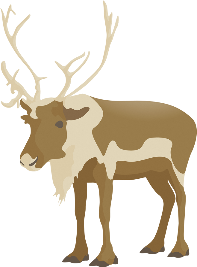 Stylized Elk Illustration PNG image