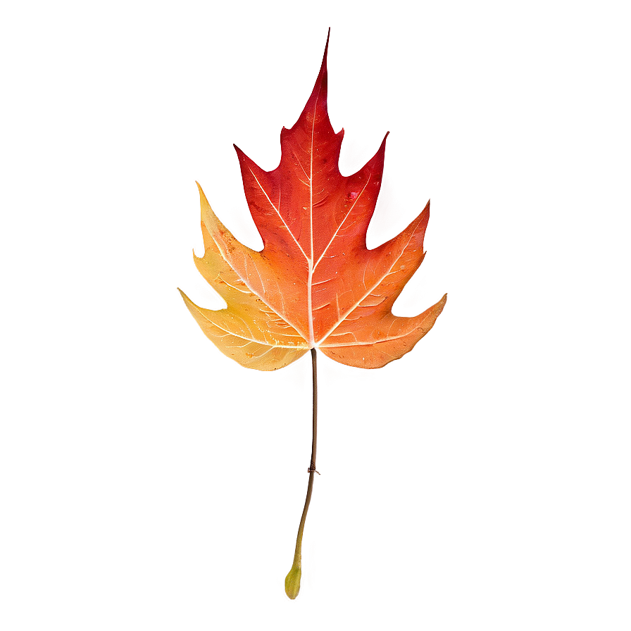 Stylized Fall Leaf Png Far1 PNG image