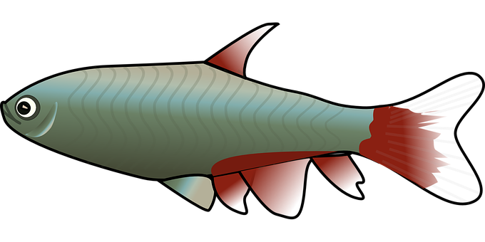 Stylized Fish Illustration PNG image