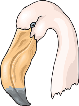 Stylized Flamingo Head Illustration PNG image