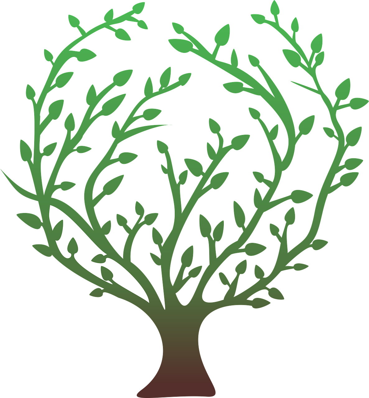 Stylized Green Tree Vector PNG image