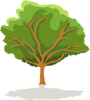 Stylized Green Tree Vector PNG image