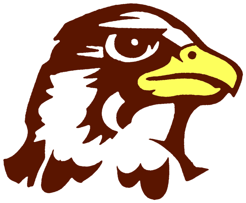 Stylized Hawk Head Illustration PNG image