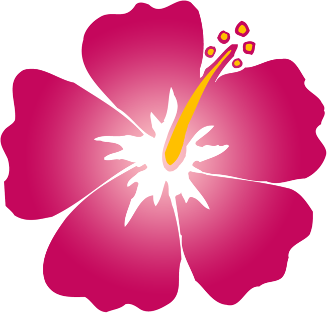 Stylized Hibiscus Flower Illustration PNG image