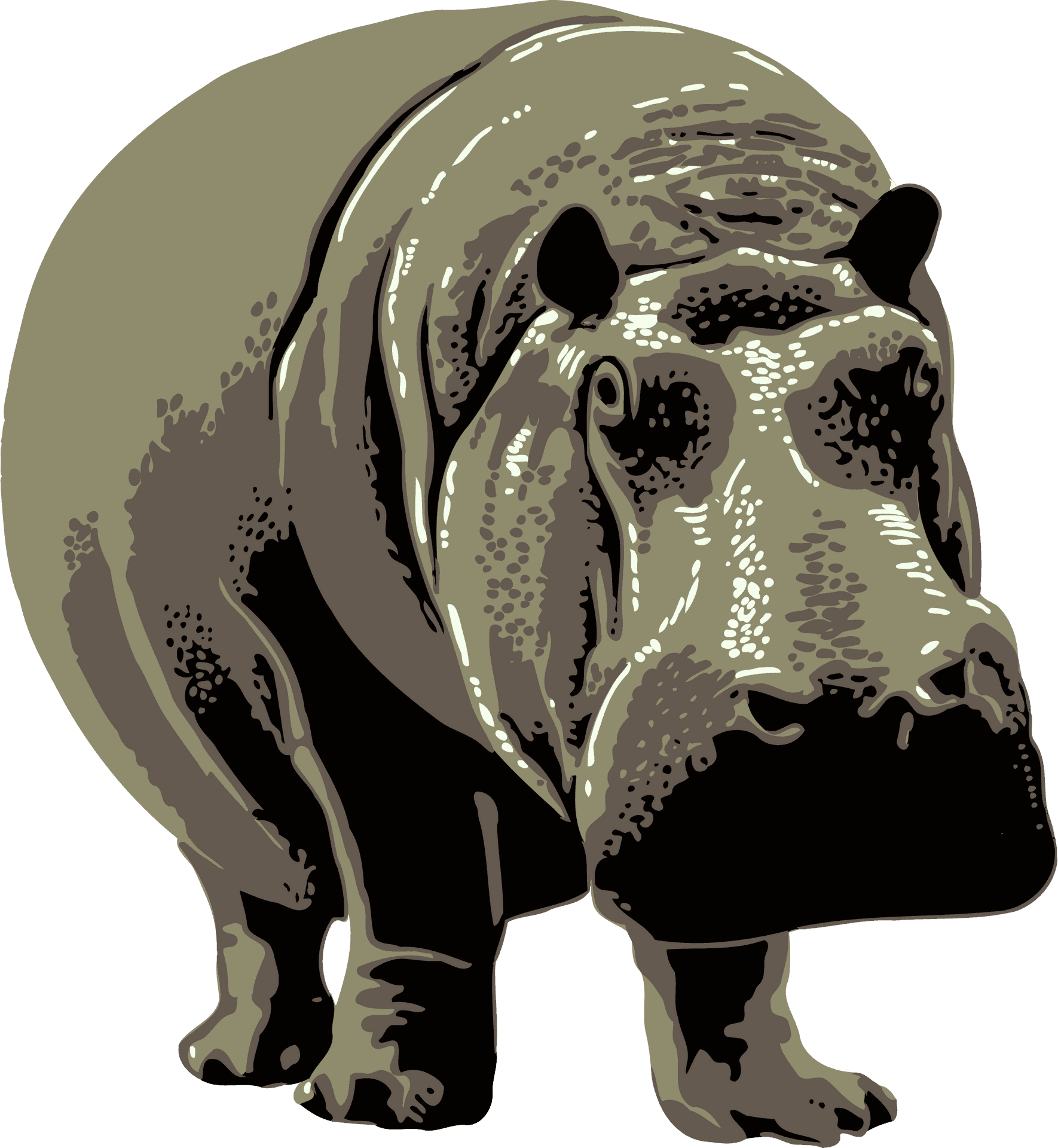 Stylized Hippo Illustration PNG image