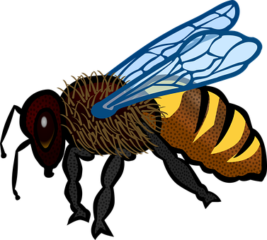 Stylized Honeybee Illustration PNG image