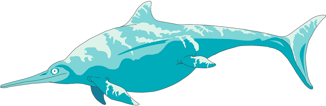 Stylized Ichthyosaur Illustration PNG image