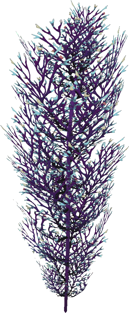 Stylized Lavender Sprig PNG image