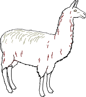 Stylized Llama Illustration PNG image