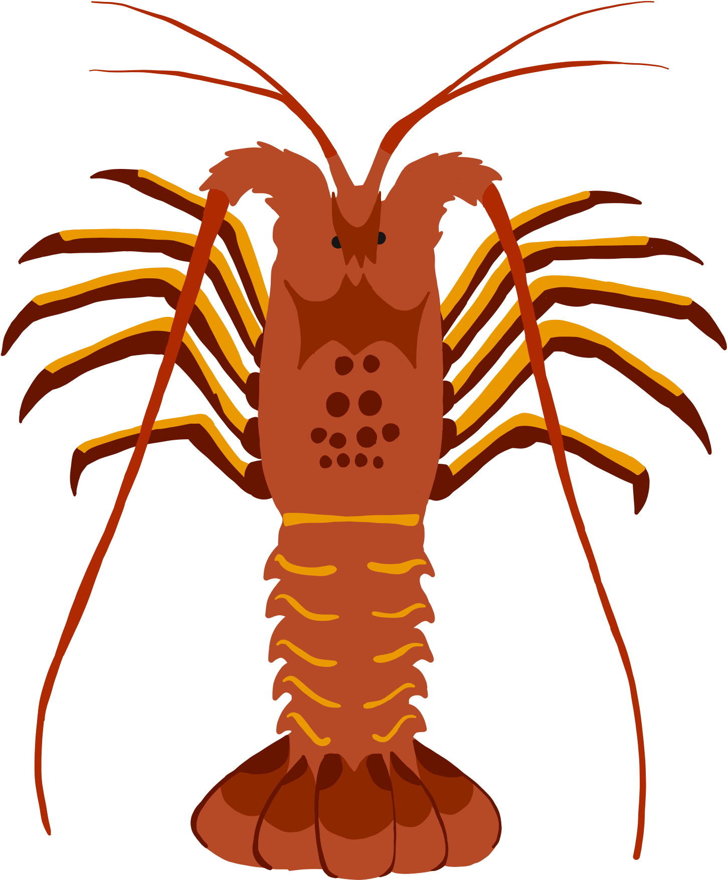 Stylized Lobster Illustration PNG image