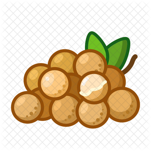 Stylized Longan Fruit Cluster PNG image