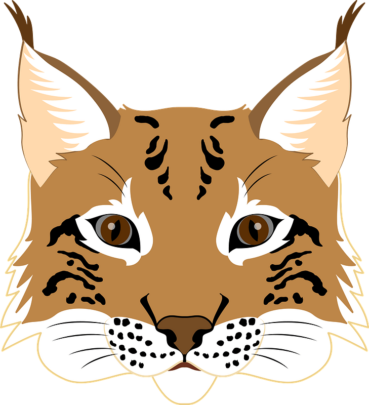 Stylized Lynx Face Illustration PNG image
