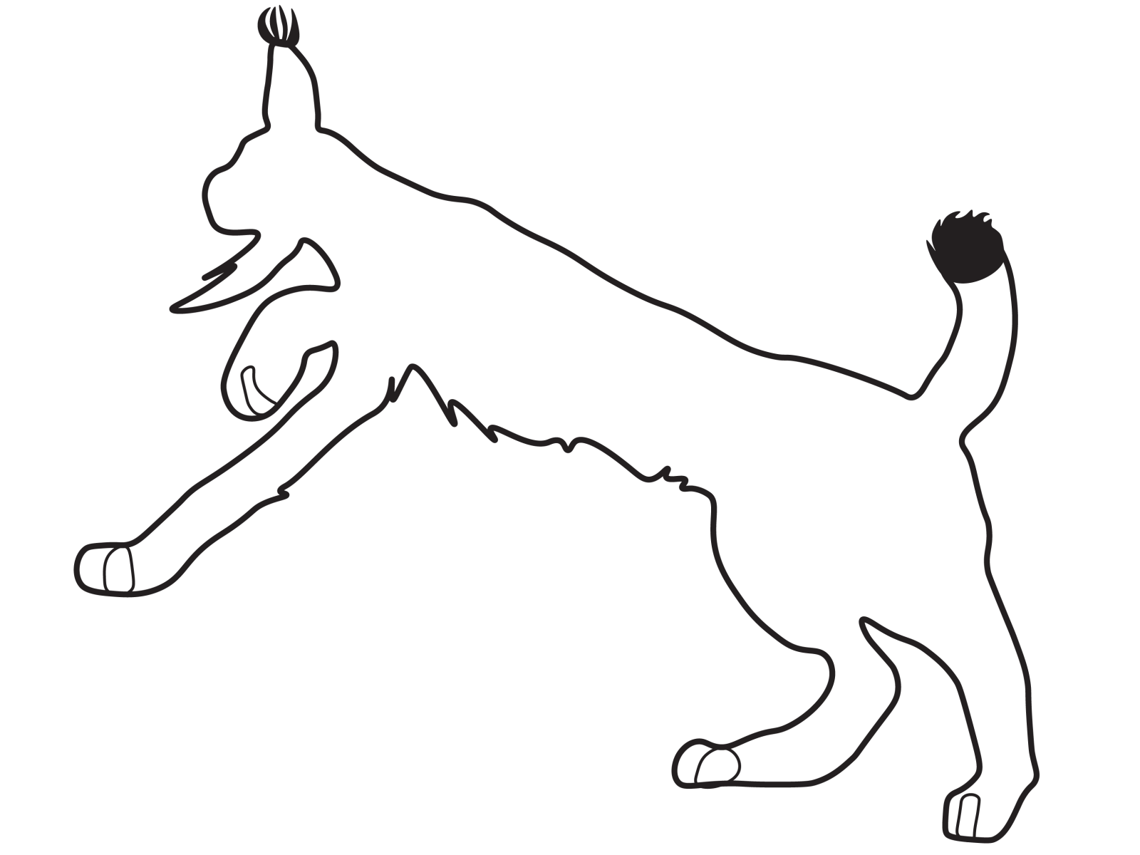 Stylized Lynx Line Art PNG image