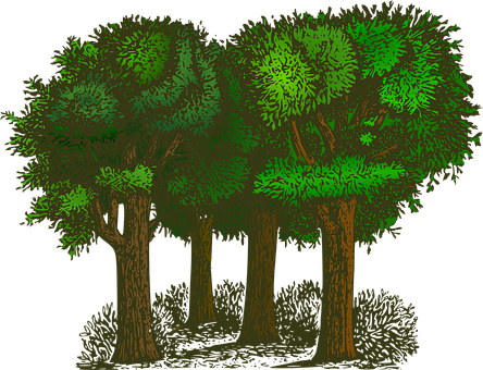 Stylized Nighttime Forest Illustration PNG image