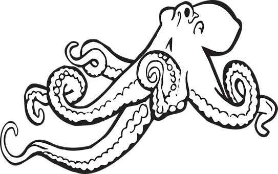 Stylized Octopus Graphic PNG image