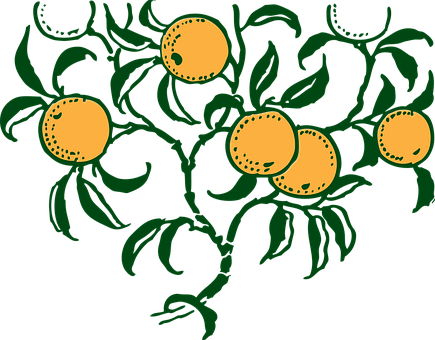 Stylized Orange Branch Illustration PNG image