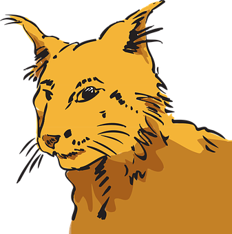Stylized Orange Cat Illustration PNG image