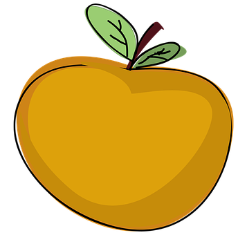 Stylized Orange Fruit Illustration PNG image