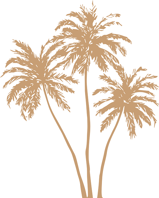 Stylized Orange Palm Leaves PNG image