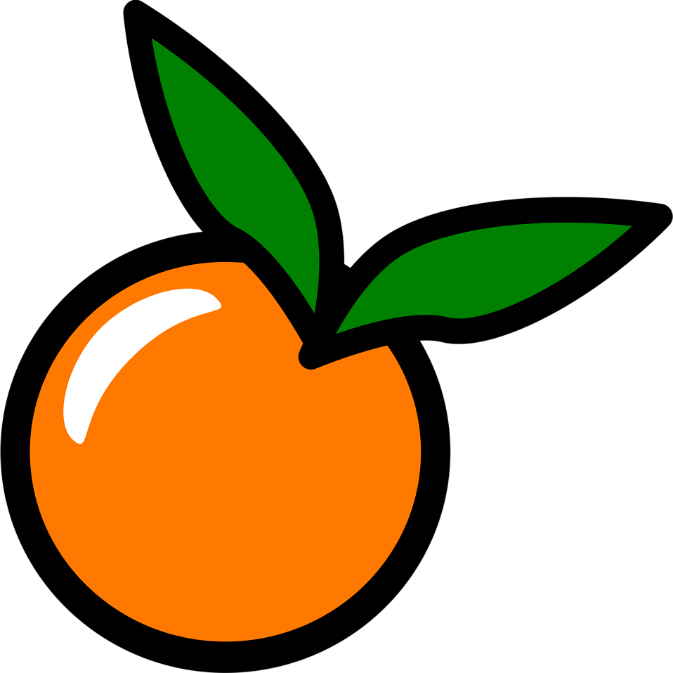 Stylized Orange Peach Clipart PNG image