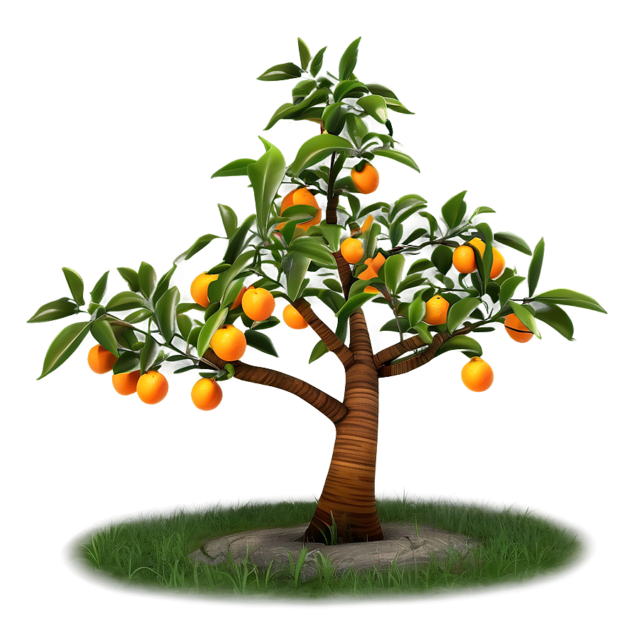 Stylized Orange Tree Png 23 PNG image