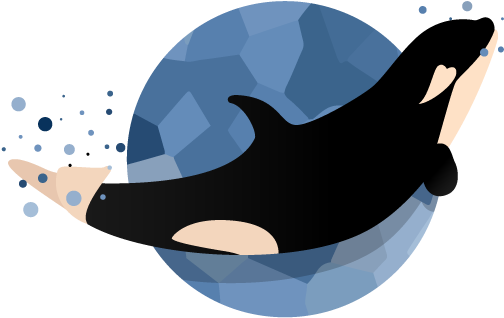 Stylized Orca Illustration PNG image