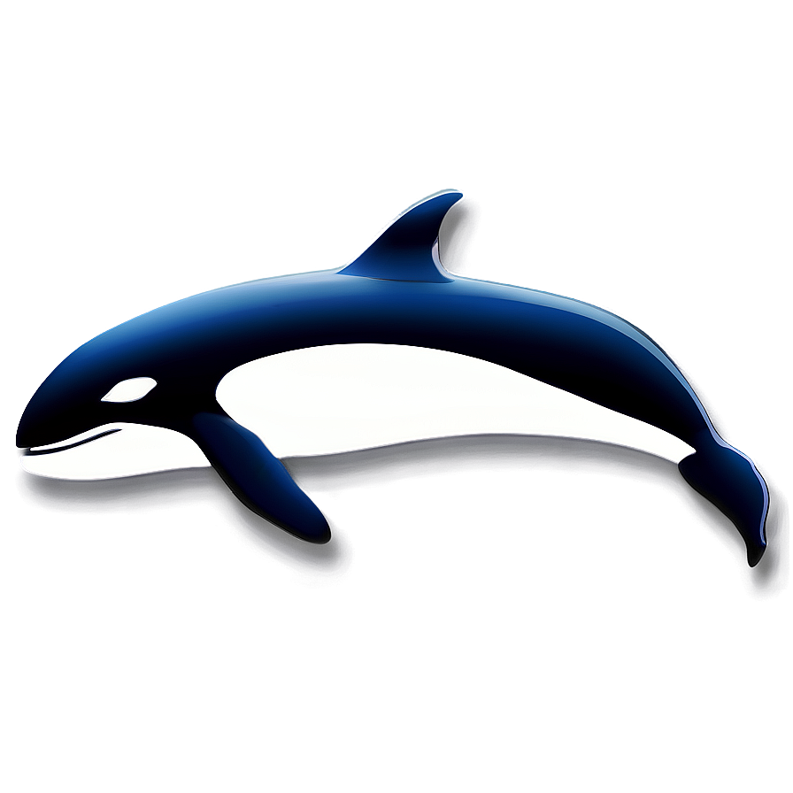 Stylized Orca Whale Icon Png 35 PNG image