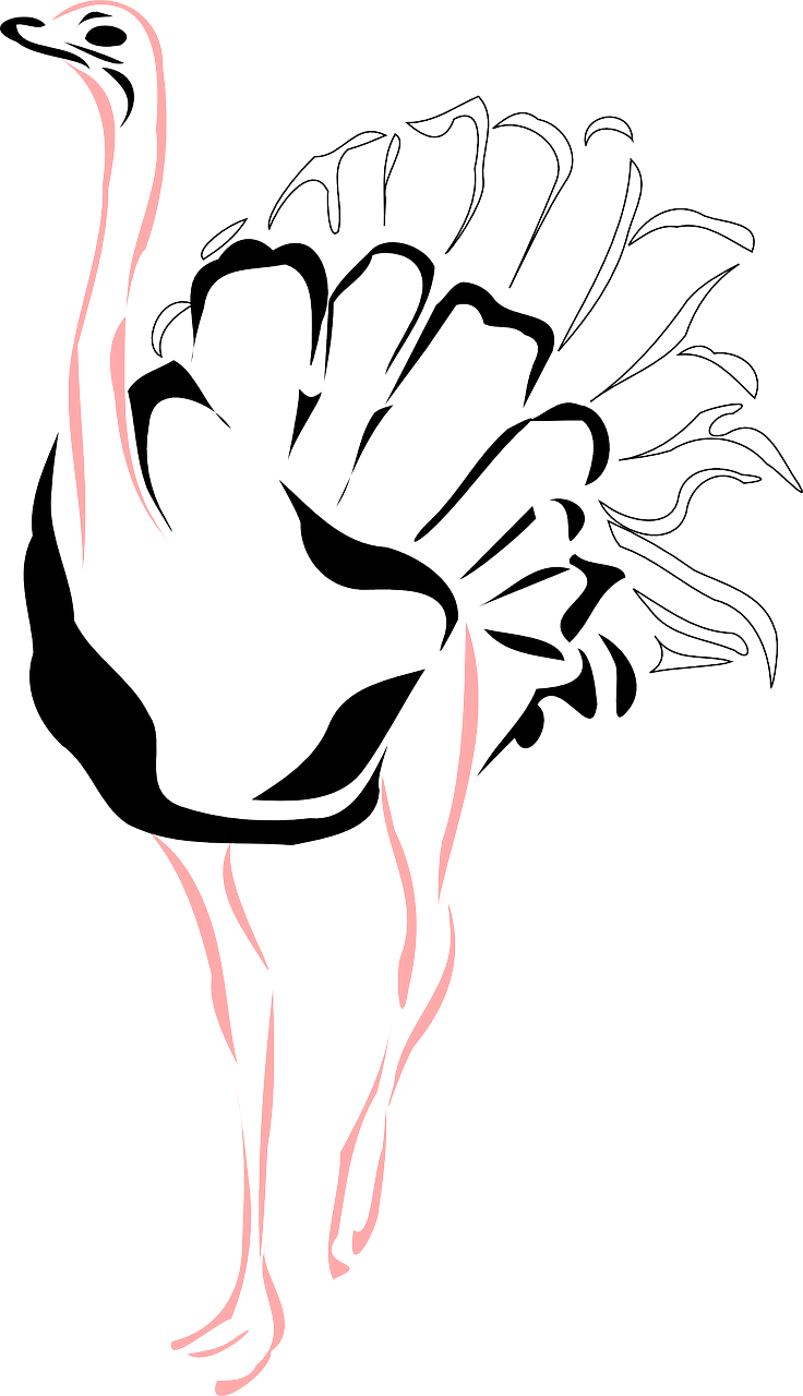 Stylized Ostrich Silhouette PNG image