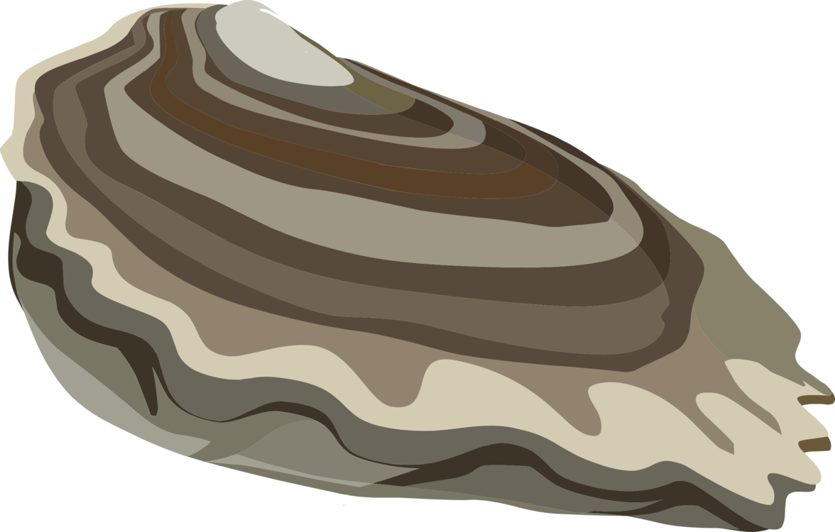 Stylized Oyster Illustration PNG image