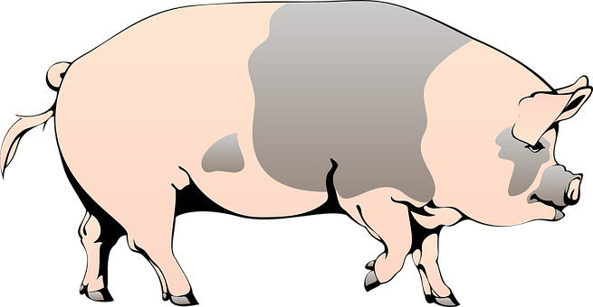 Stylized Pig Illustration PNG image