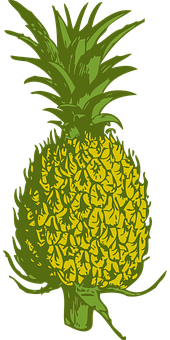 Stylized Pineapple Graphic PNG image