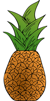 Stylized Pineapple Illustration PNG image