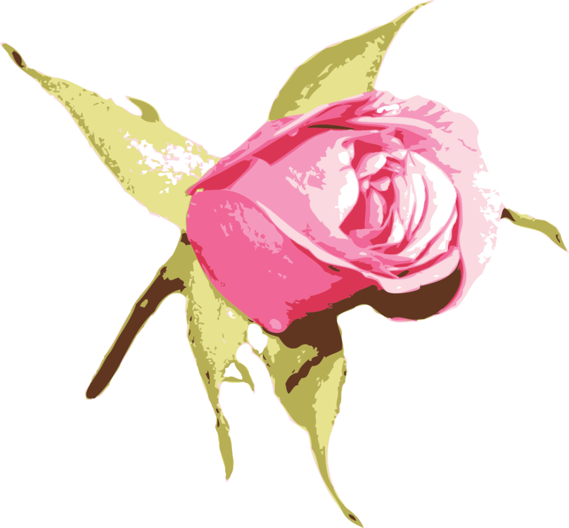 Stylized Pink Rose Artwork PNG image