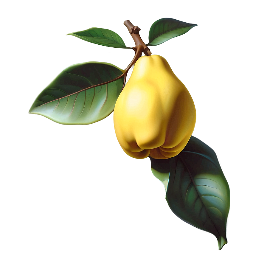 Stylized Quince Icon Png Umv PNG image