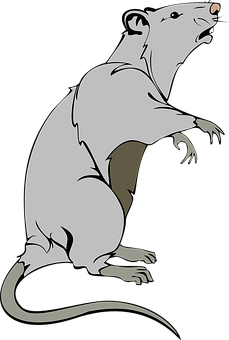 Stylized Rat Illustration PNG image