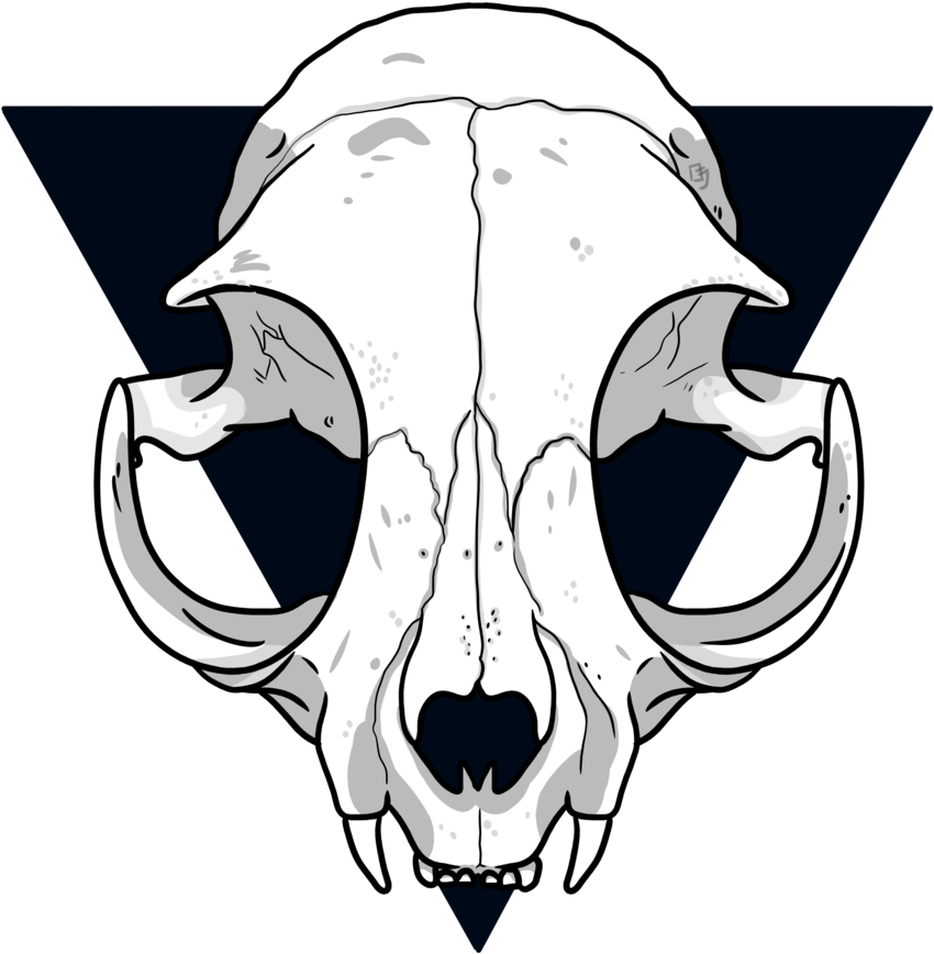 Stylized Saber Toothed Skull Illustration PNG image