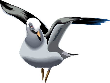 Stylized Seagull Illustration PNG image