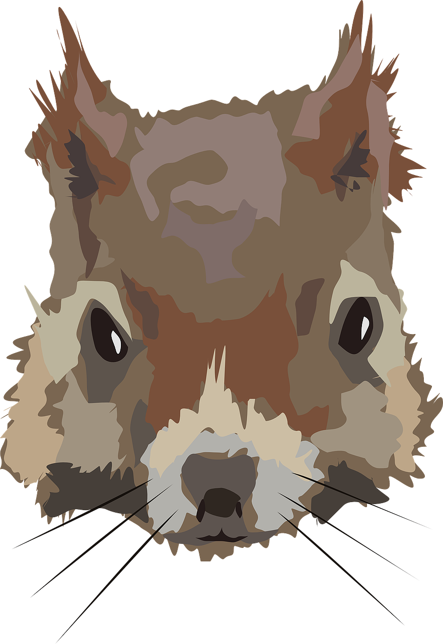 Stylized Squirrel Portrait PNG image