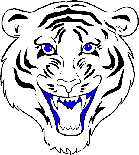 Stylized Tiger Head Graphic PNG image