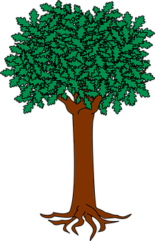 Stylized Tree Illustration PNG image