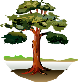 Stylized Tree Illustration PNG image