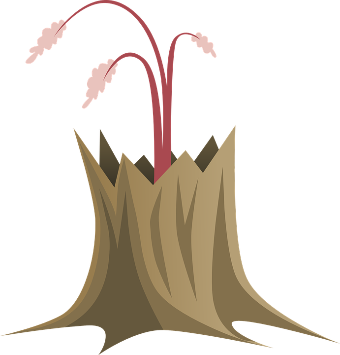 Stylized Tree Trunkwith Sprouting Flowers PNG image