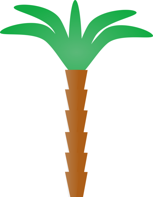 Stylized Tropical Palm Tree PNG image