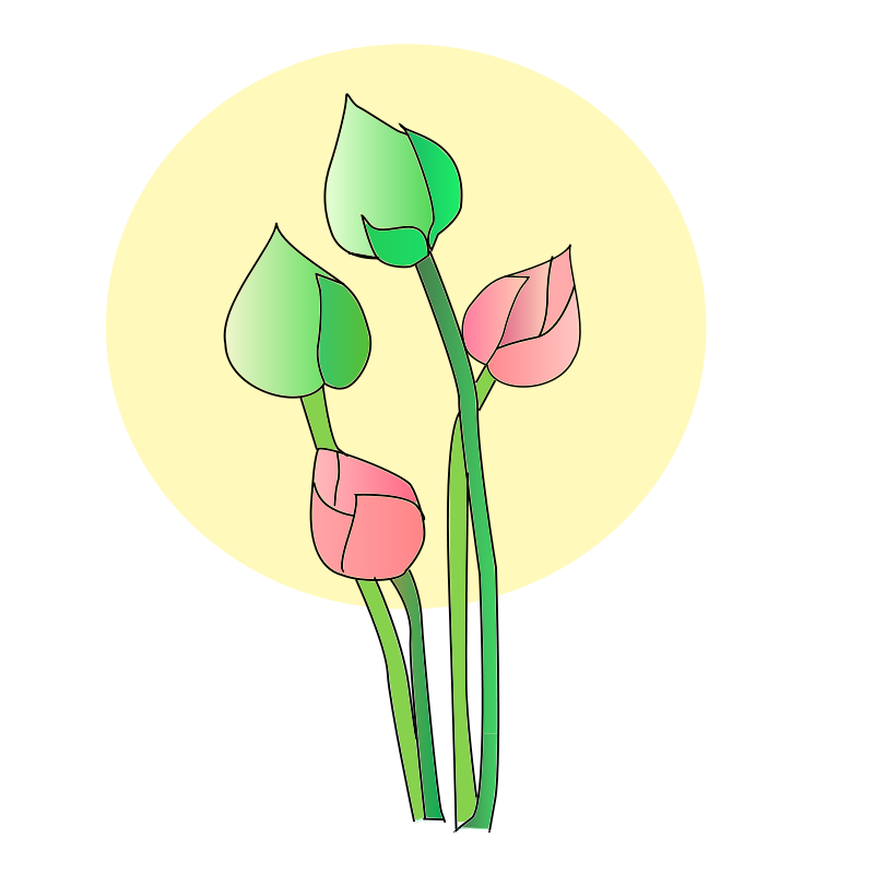 Stylized Tulips Illustration PNG image