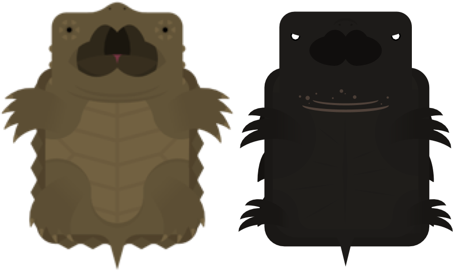 Stylized Turtle Duo PNG image