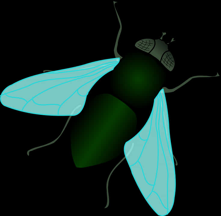 Stylized Vector Fly Illustration PNG image