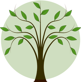 Stylized Vector Tree Illustration PNG image