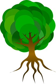 Stylized Vector Tree Illustration PNG image